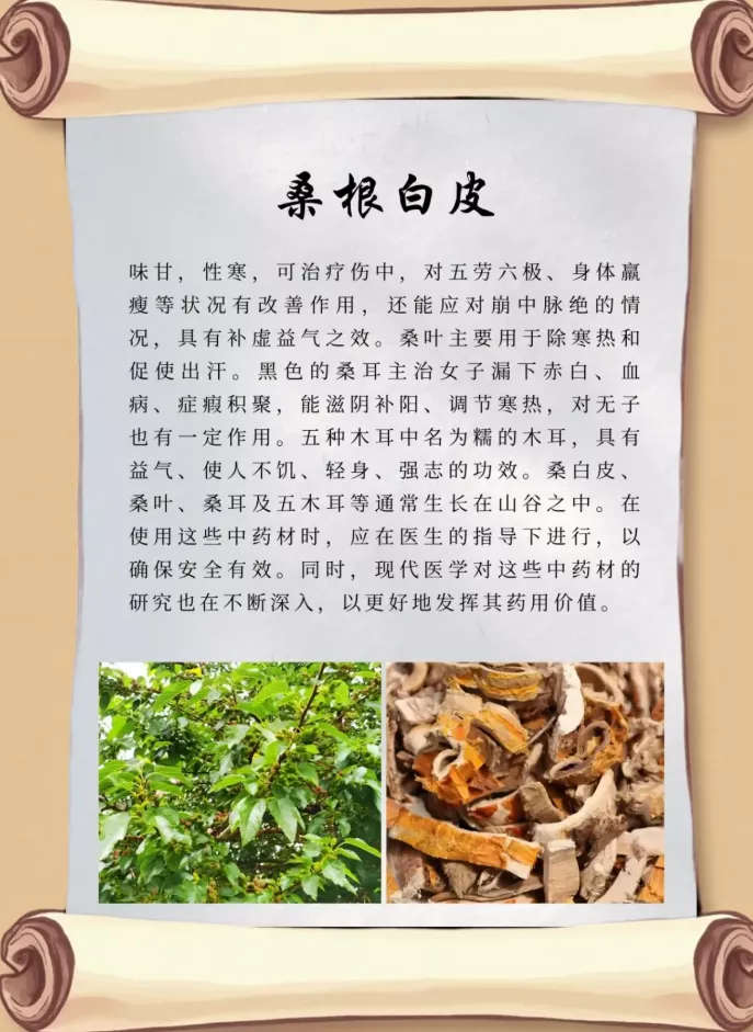 b7cbf490-aa3f-4204-89ca-fa1c35185990.webp